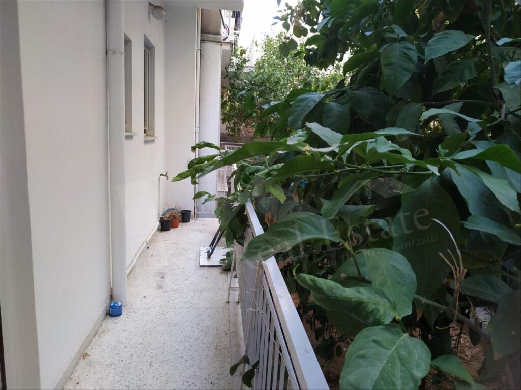 resized-IMG_20211121_130637-rotated (1)