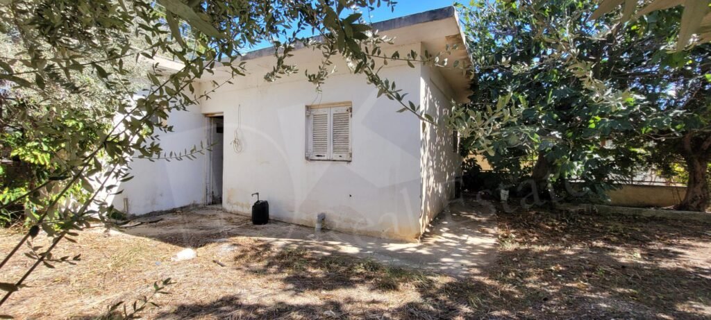 20221020_133439-scaled