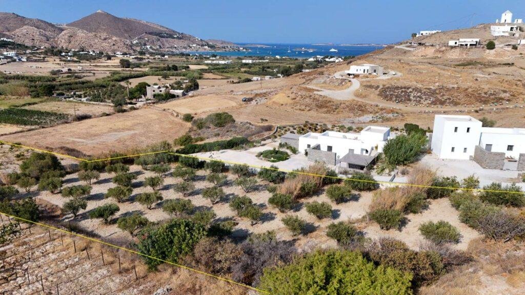 IMG-ea7afbd41d2493b4c079e578a91741cf-V